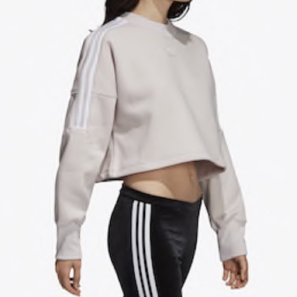 adidas originals cropped sweatshirt